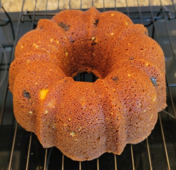 A bundt cake sitting on top of an oven rack.